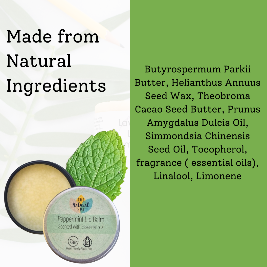 Peppermint Lip Balm | All Natural | Vegan & Plastic-Free