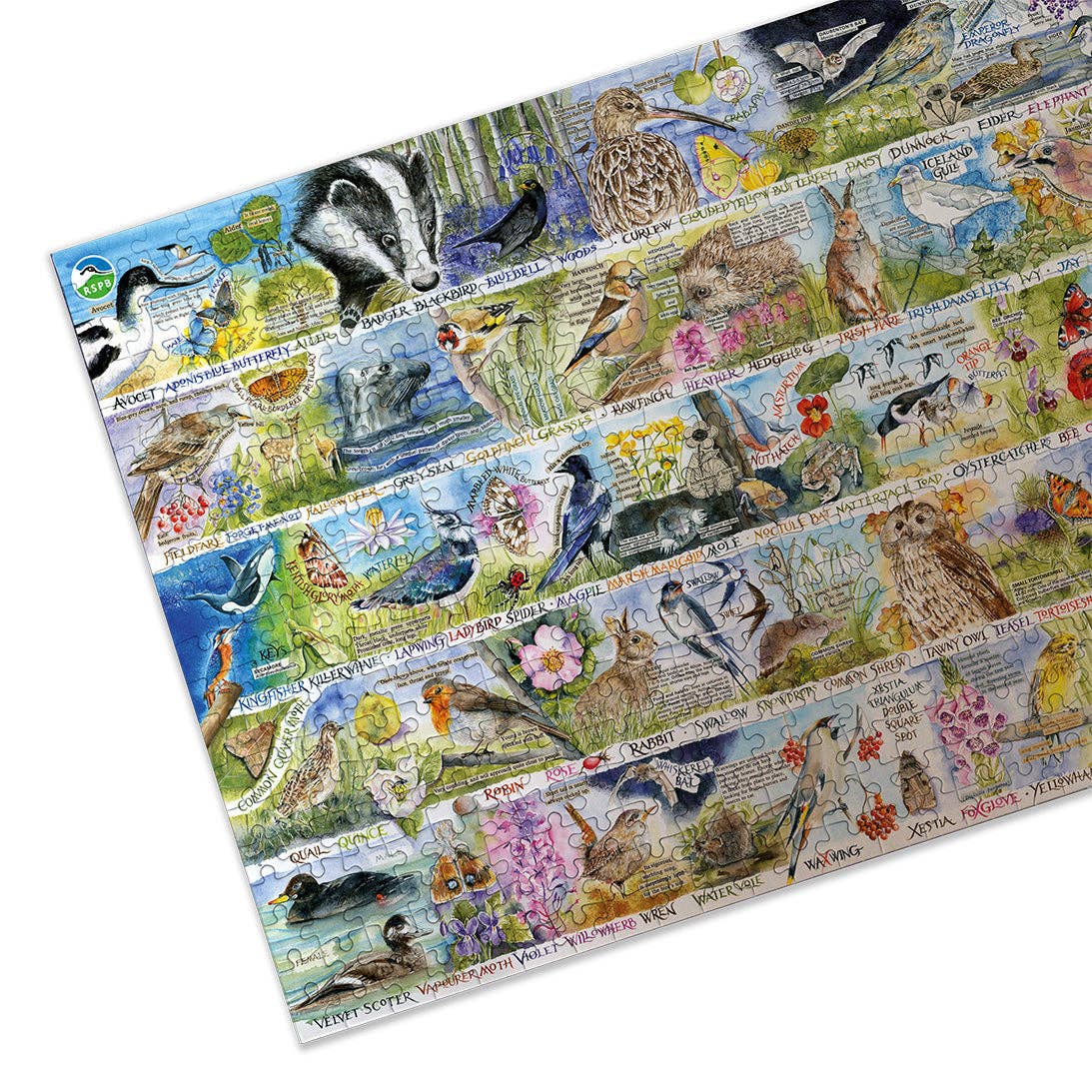Gibsons RSPB Birdsong and Bluebells 1000 piece jigsaw puzzle, view 6