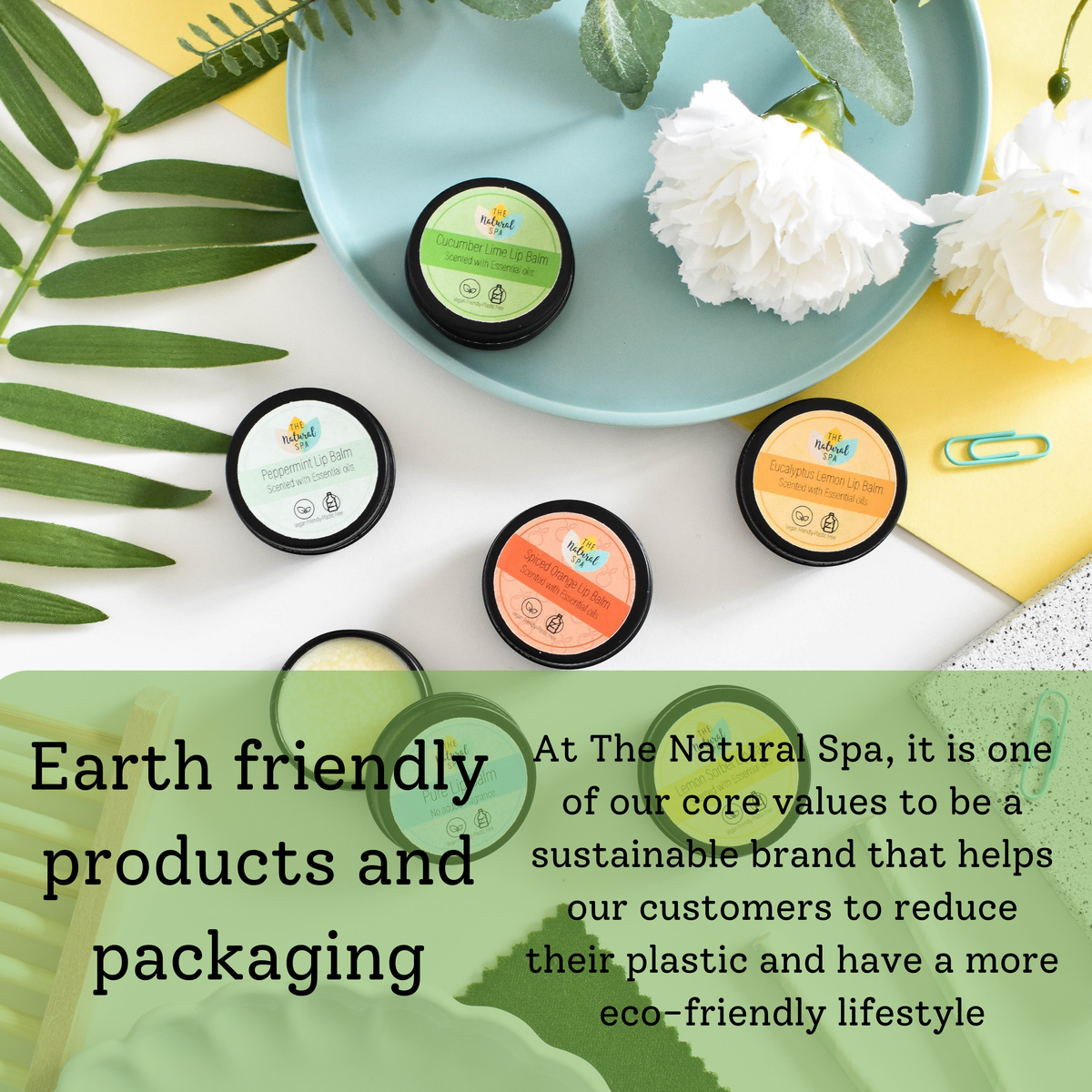 Peppermint Lip Balm | All Natural | Vegan & Plastic-Free