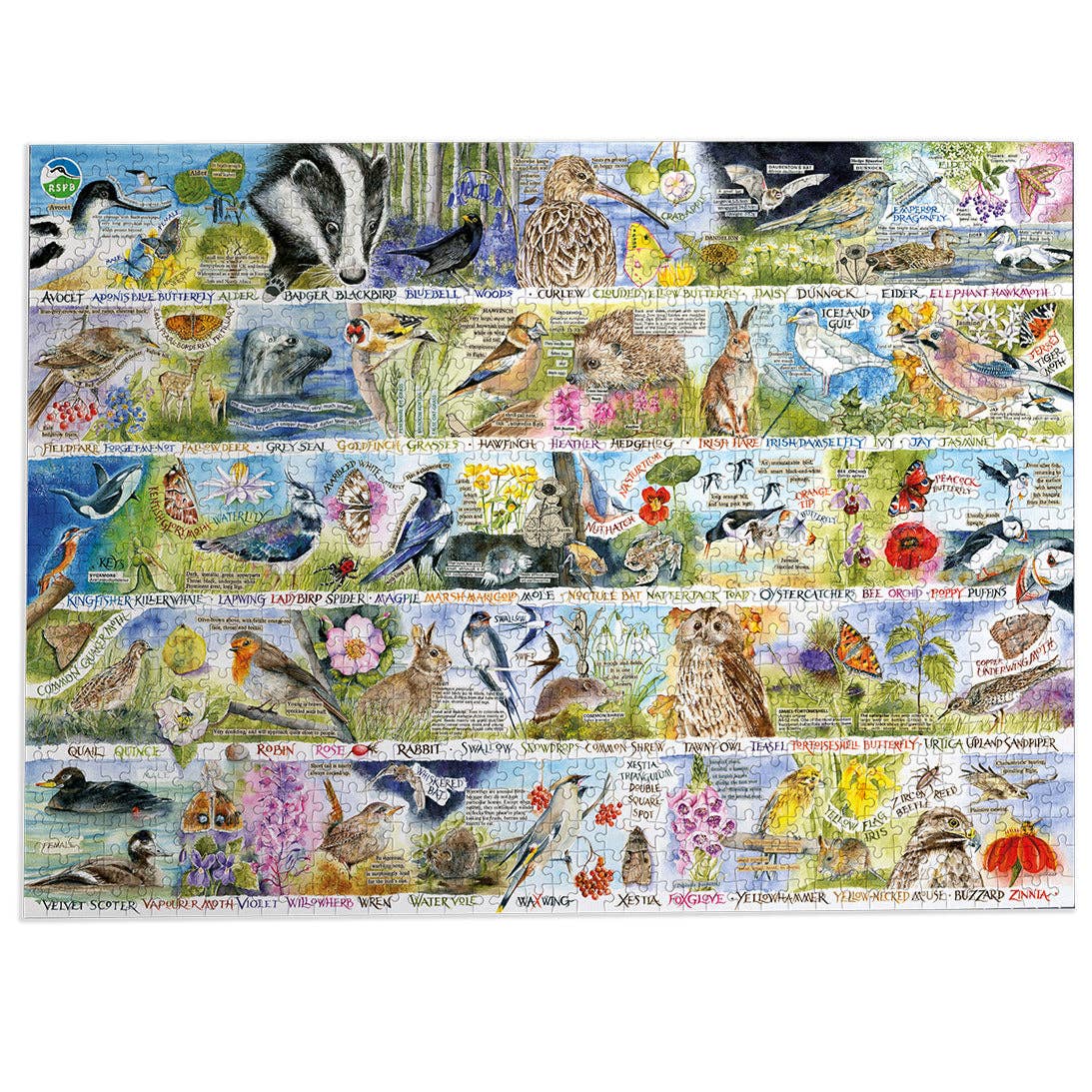 Gibsons RSPB Birdsong and Bluebells 1000 piece jigsaw puzzle, view 7