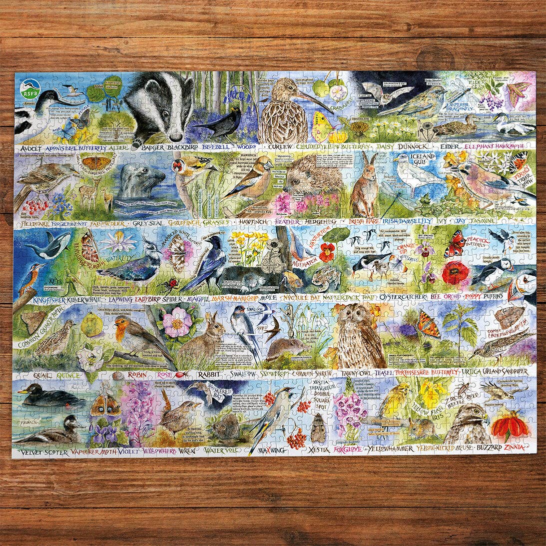 Gibsons RSPB Birdsong and Bluebells 1000 piece jigsaw puzzle, view 3