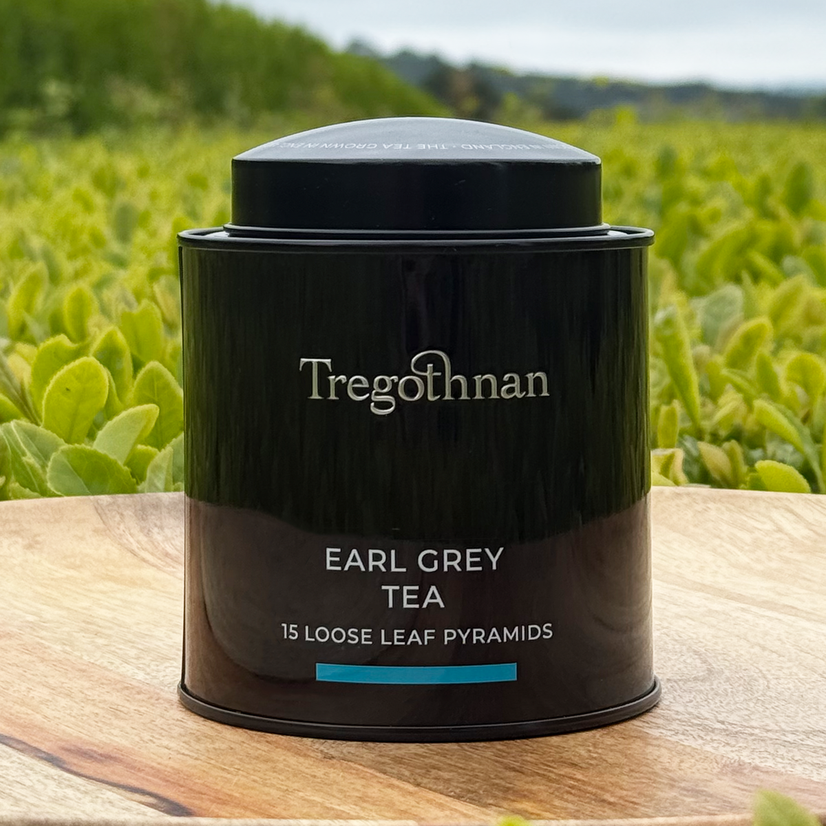 Tregothnan Earl Grey pyramid tea bag
