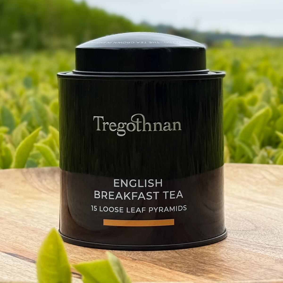 Tregothnan English Breakfast pyramid tea bags