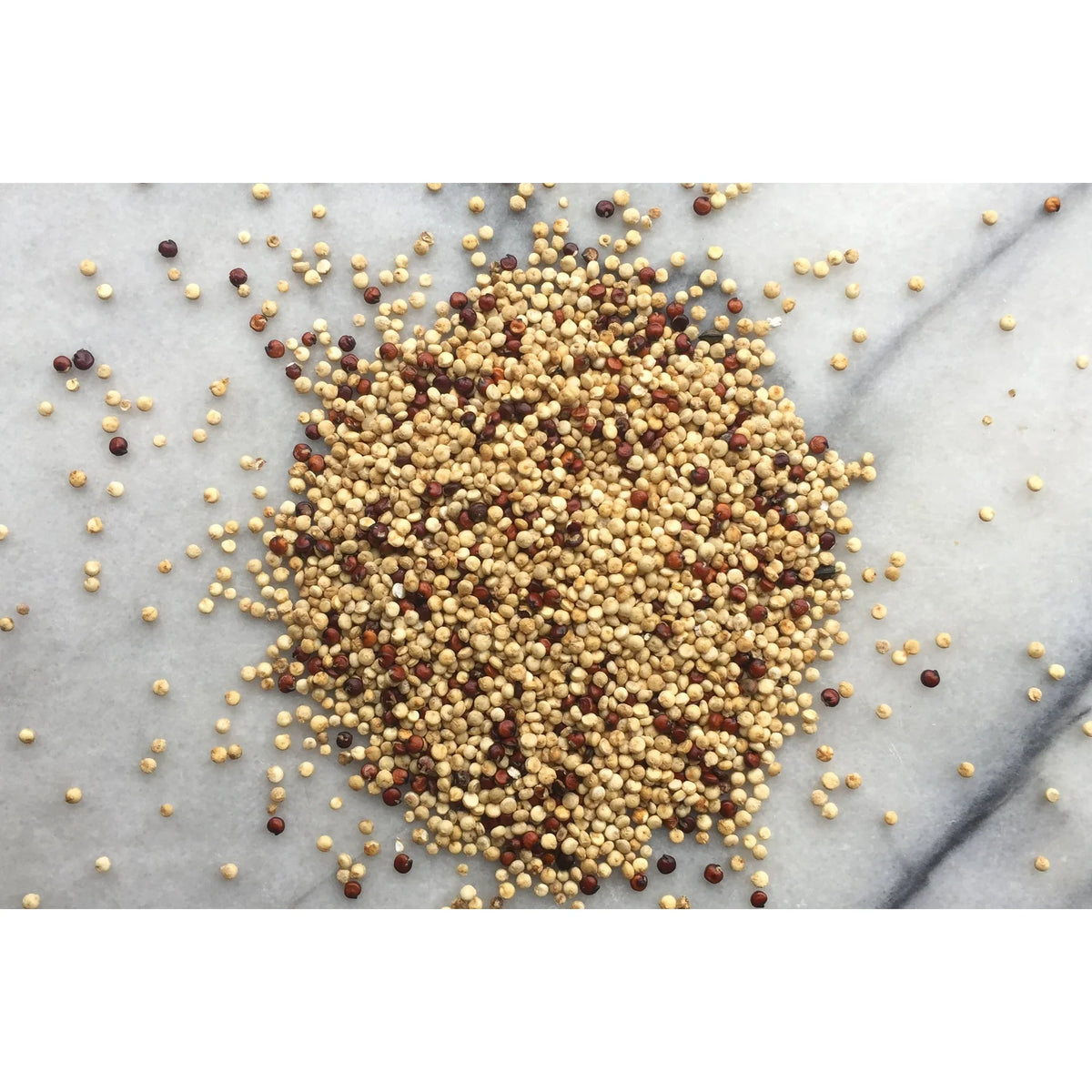 Hodmedod's British Red & White Quinoa