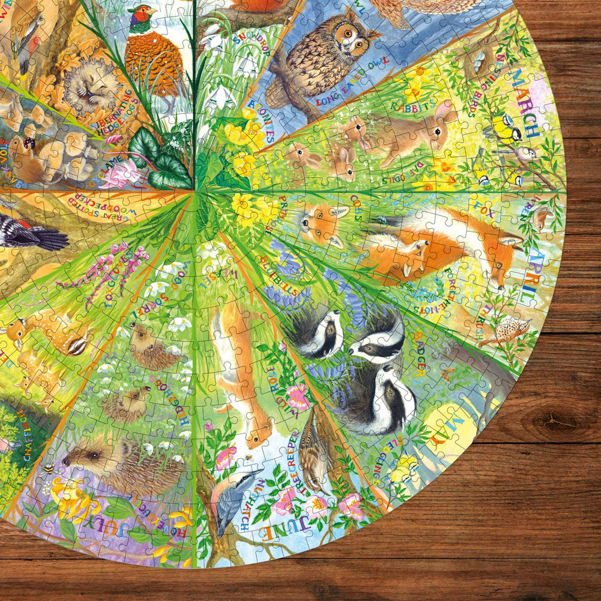 Gibsons National Trust A Year in the Forest 500 piece circular jigsaw puzzle, view 4