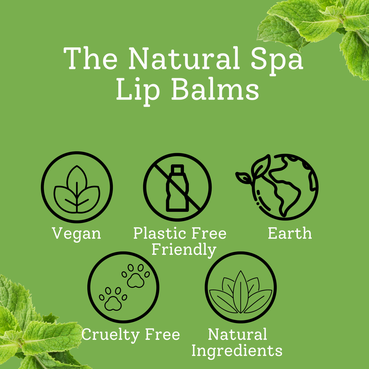 Peppermint Lip Balm | All Natural | Vegan & Plastic-Free