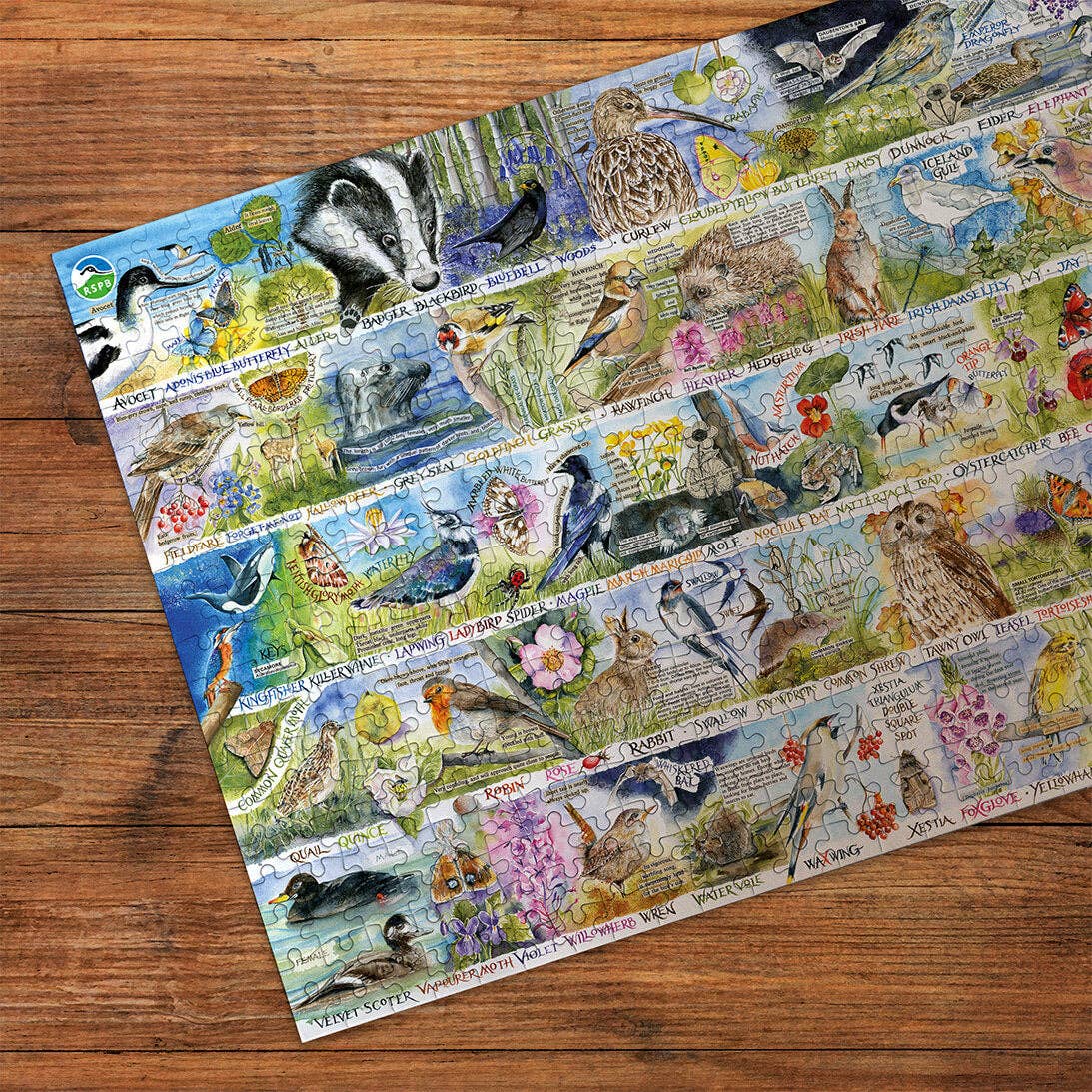 Gibsons RSPB Birdsong and Bluebells 1000 piece jigsaw puzzle, view 2