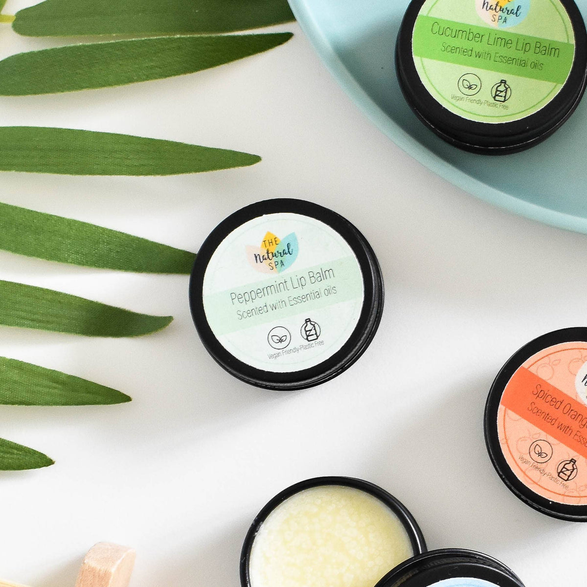 Lip Balms | Bulk Pack (15 lip balms) | Eco-Friendly & Vegan