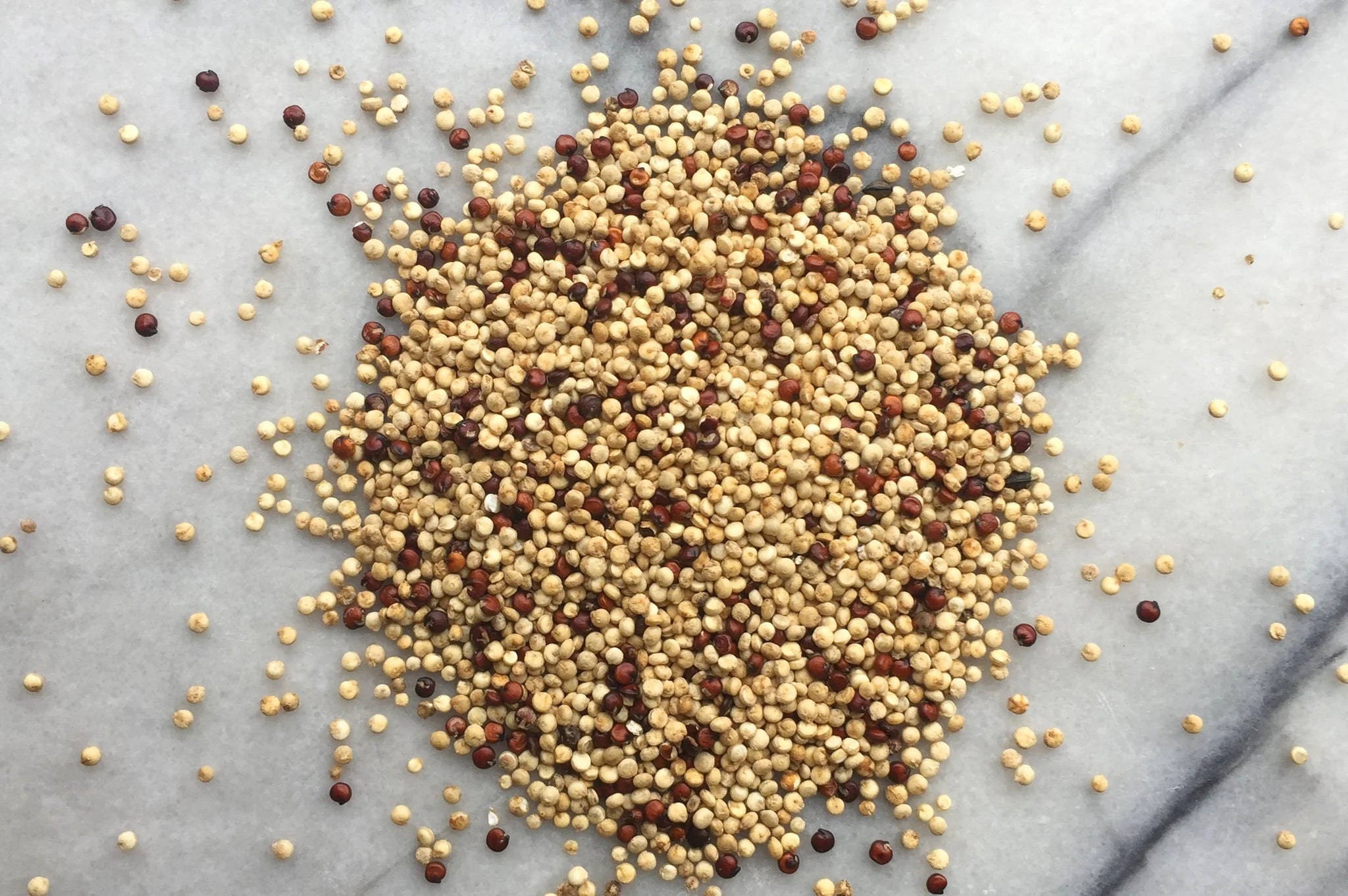 Hodmedod's British Red & White Quinoa