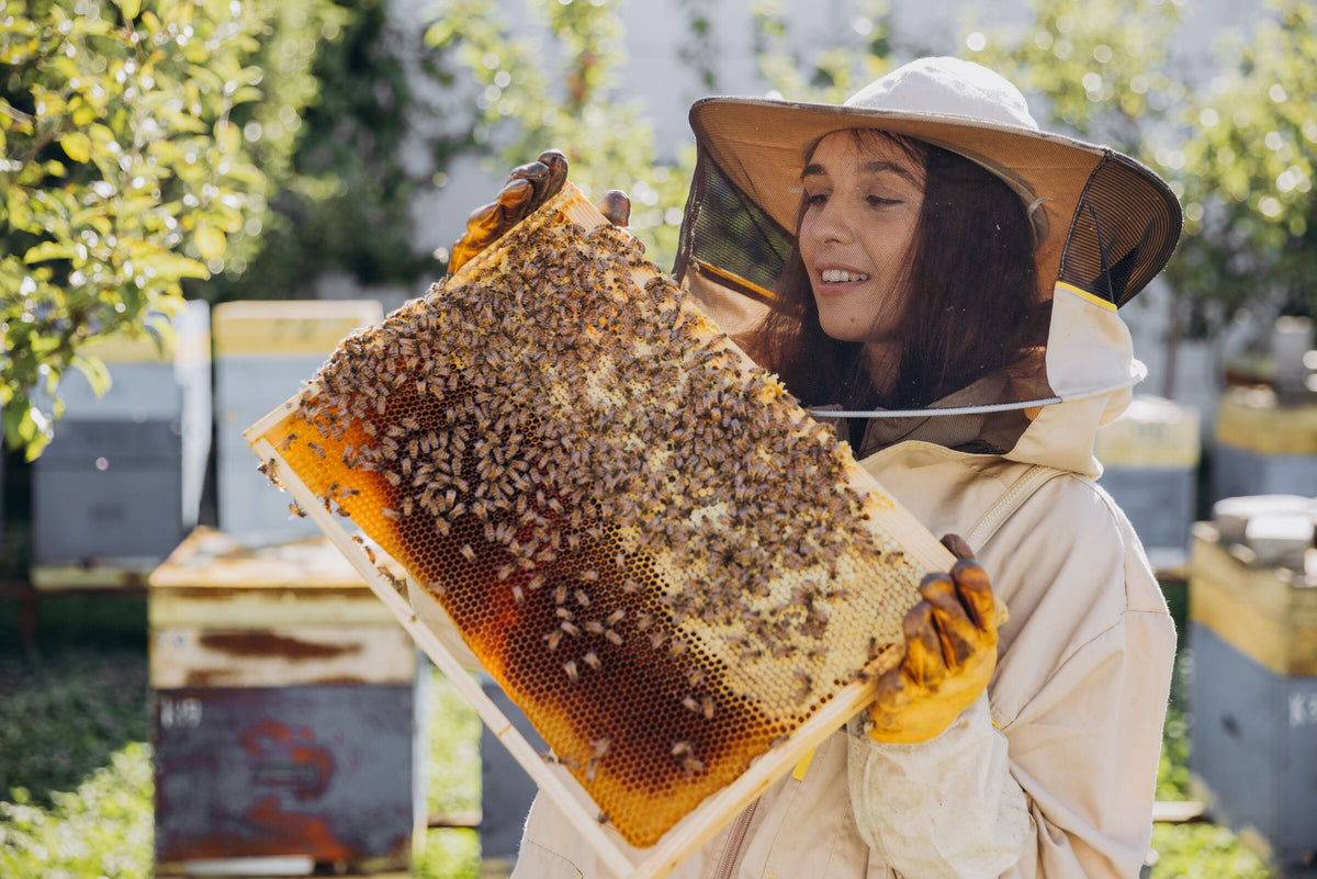 A beekeeper holding a frame of honeycomb at the hives