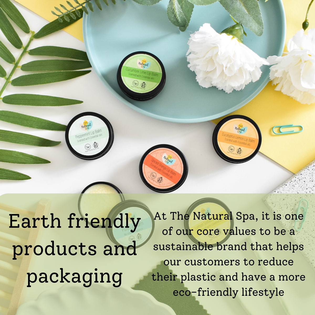 Cucumber Lime Lip Balm | Moisturising Vegan Balm | Handmade