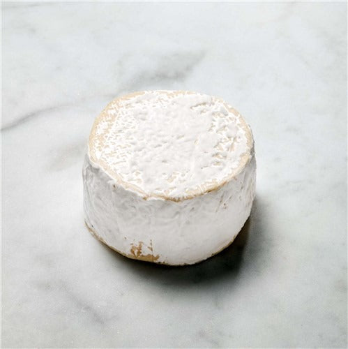 Finn, Neal's Yard Creamery, Herefordshire