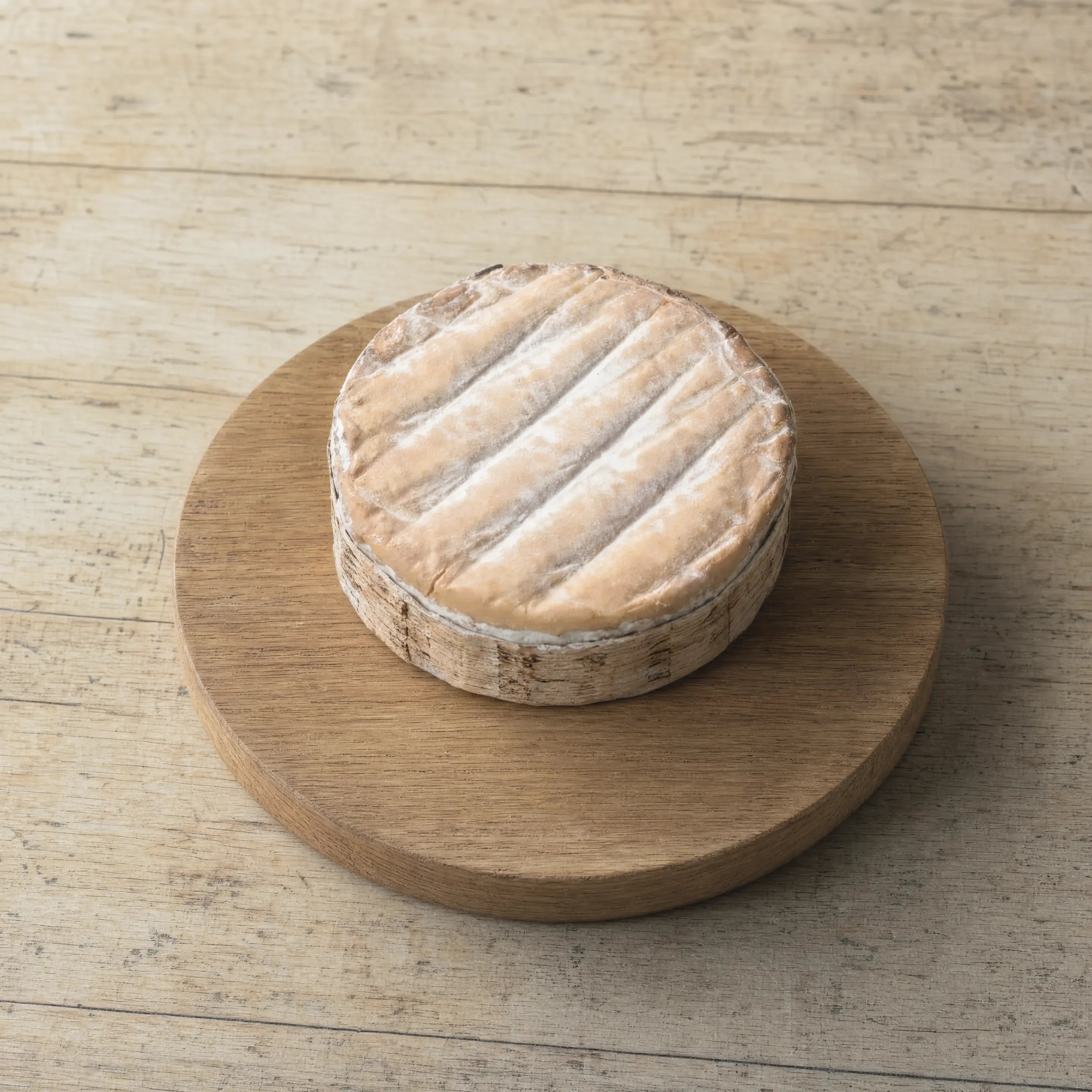 Rollright spruce-bound cheese on an oak board, English cheesemonger counter
